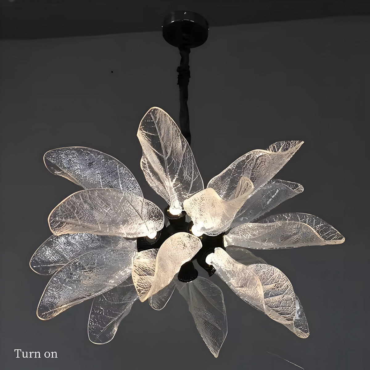 Lustre Fleur Deluxe - BUYnBLUE